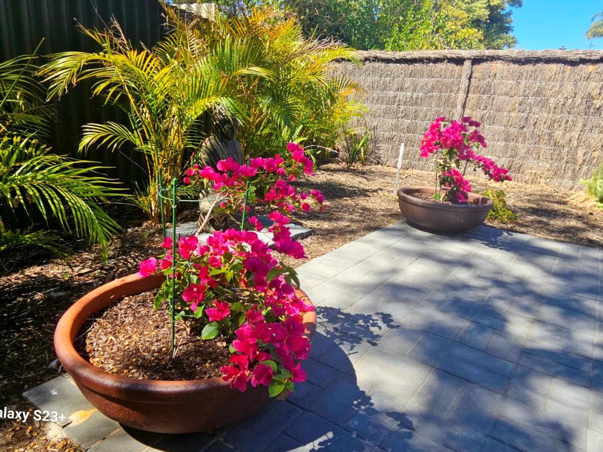 Tranquil Gumnut Cottage - Close To Airport بيرث المظهر الخارجي الصورة